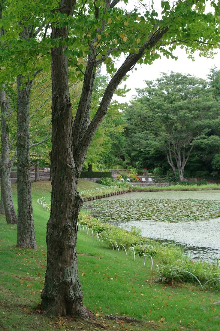 Volksgarten, innerstädtischer Park fußläufig vom WORKERY Köln